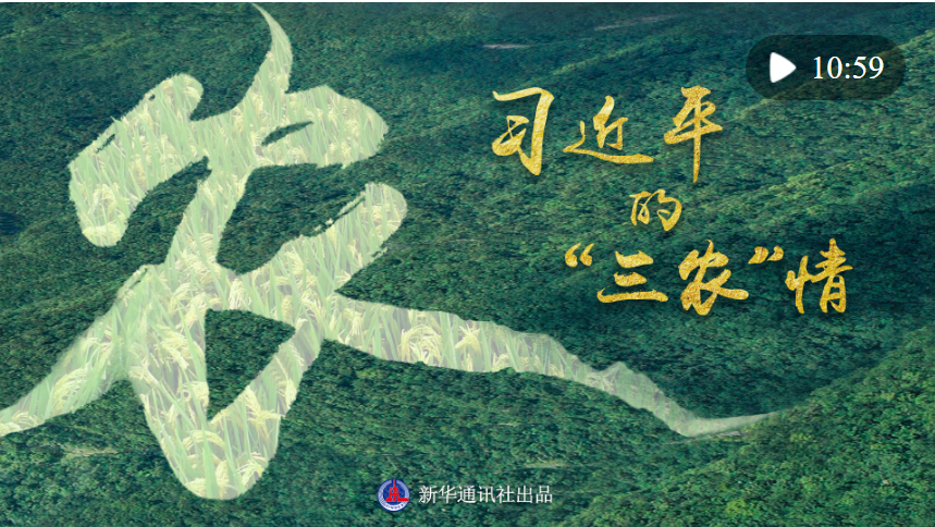 微紀(jì)錄片 | 習(xí)近平的“三農(nóng)”情