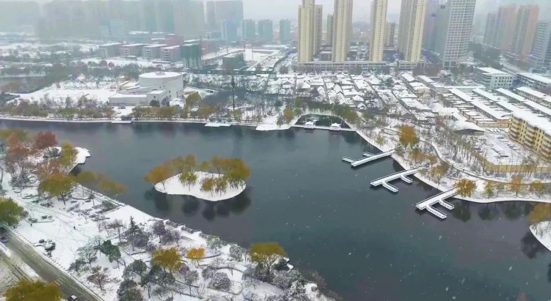 菏澤最美的雪景，是你！