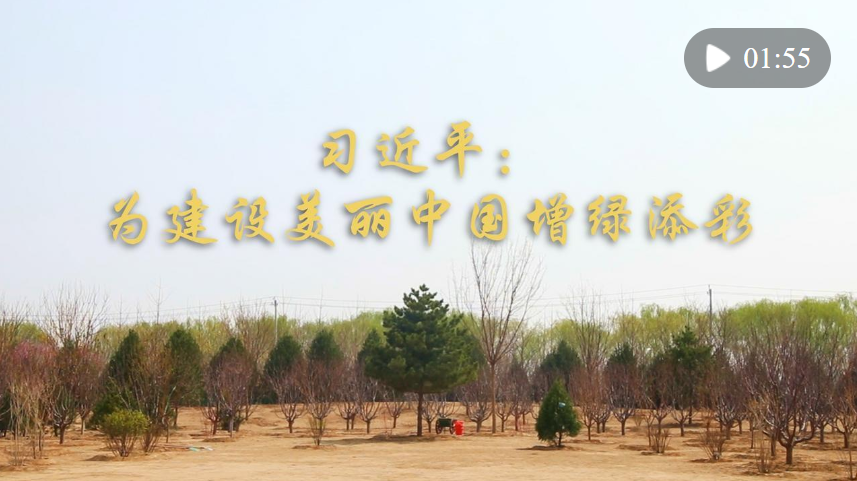 第1視點｜習近平：為建設美麗中國增綠添彩