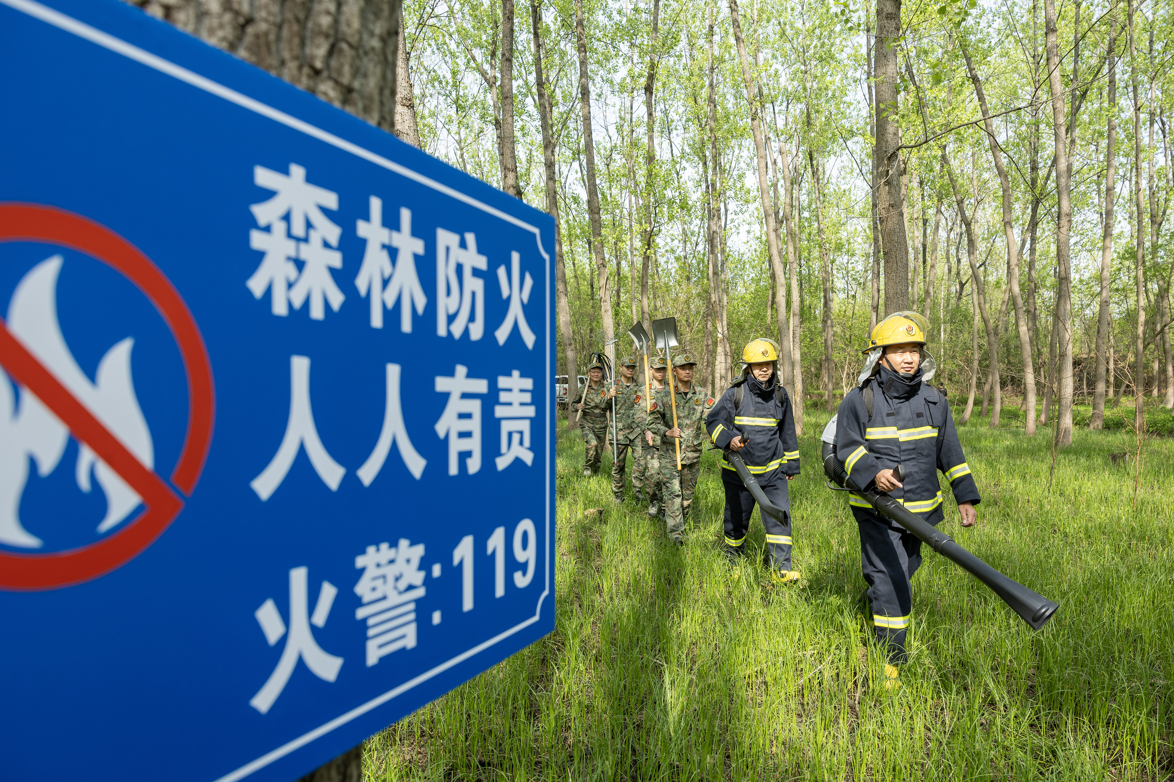 2024年4月9日，合肥市大房郢水庫水源保護(hù)地廬陽經(jīng)濟(jì)開發(fā)區(qū)段，基干民兵正在林間巡查火災(zāi)隱患。