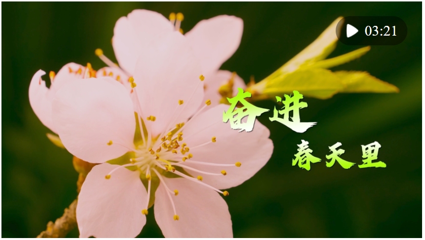 微視頻｜奮進春天里