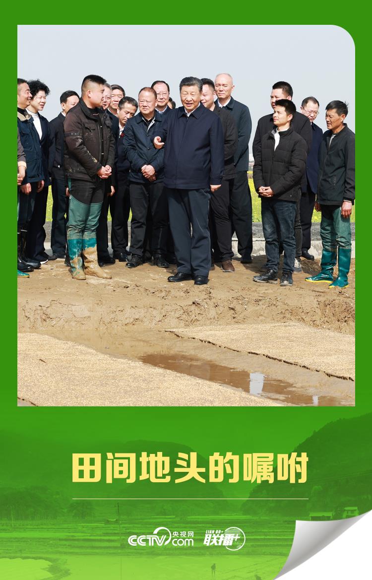 聯(lián)播 丨田間地頭的囑咐