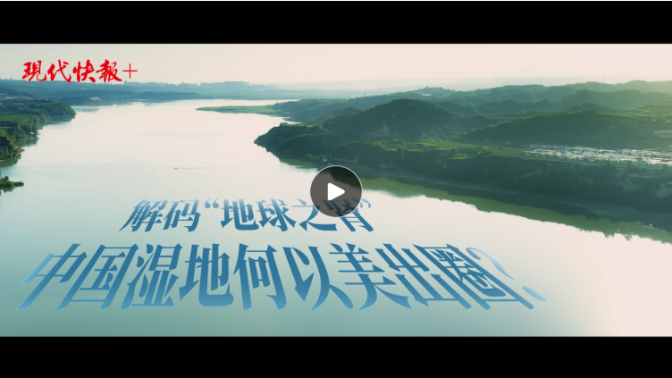 和諧共生｜解碼“地球之腎”，中國濕地何以美出圈？