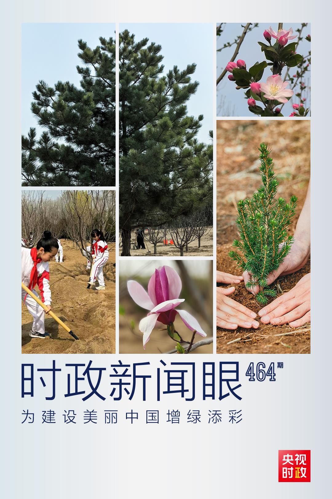 時政新聞眼丨再次參加首都義務(wù)植樹活動，習近平強調(diào)綠化祖國要三者并舉