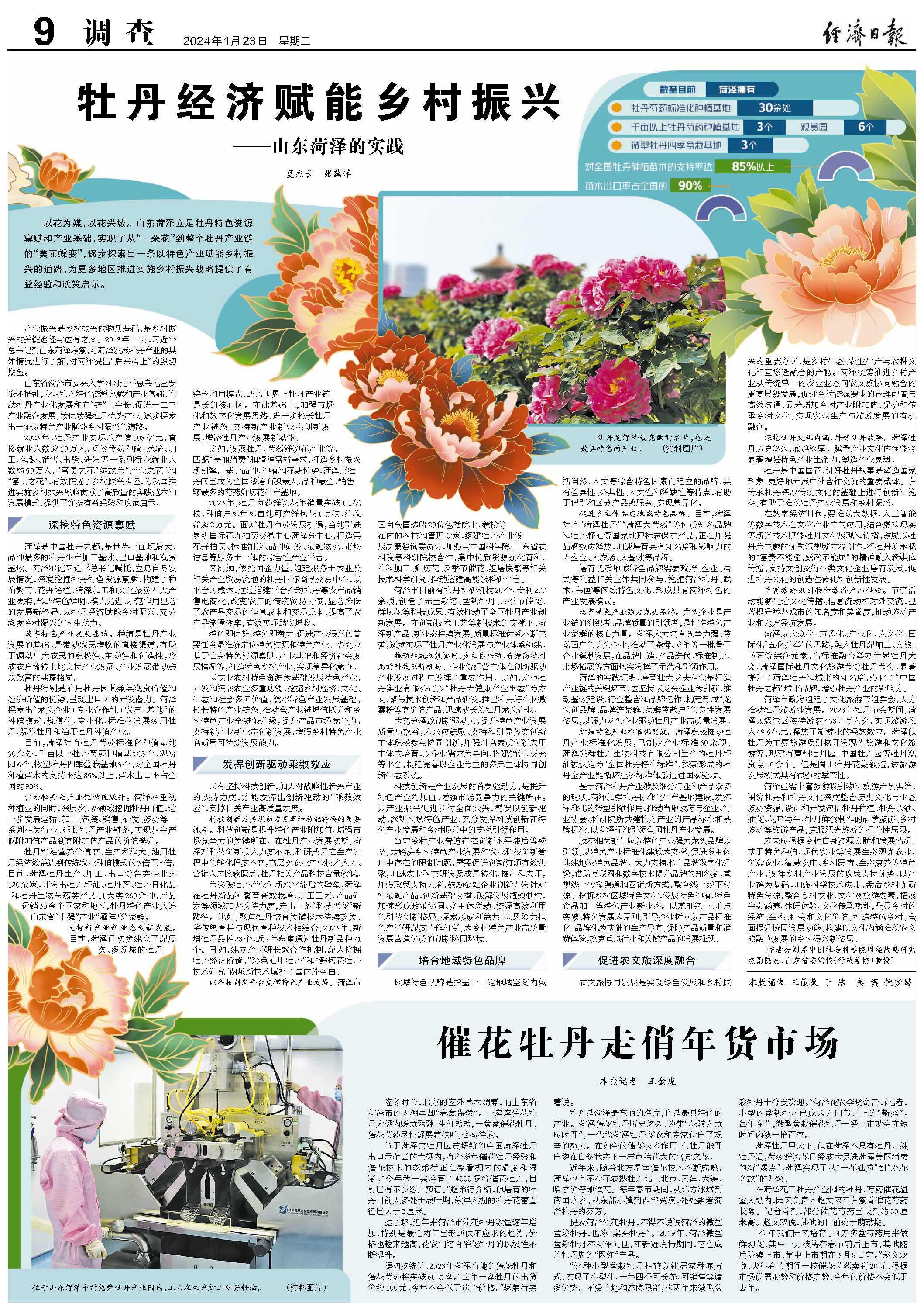 牡丹經(jīng)濟(jì)賦能鄉(xiāng)村振興