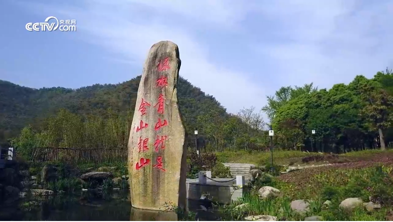 微視頻丨“植”此青綠