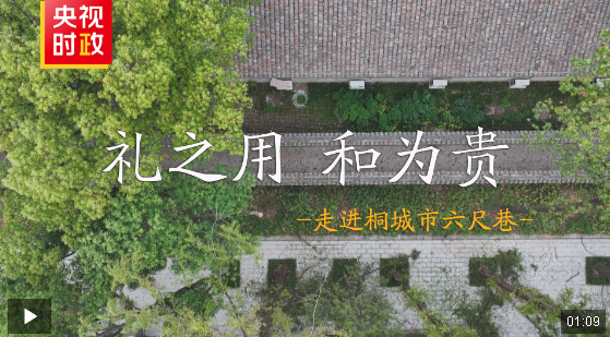 習(xí)近平安徽行丨禮之用 和為貴——走進(jìn)桐城市六尺巷