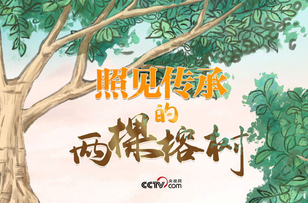 人民領(lǐng)袖｜照見(jiàn)傳承的兩棵榕樹(shù)