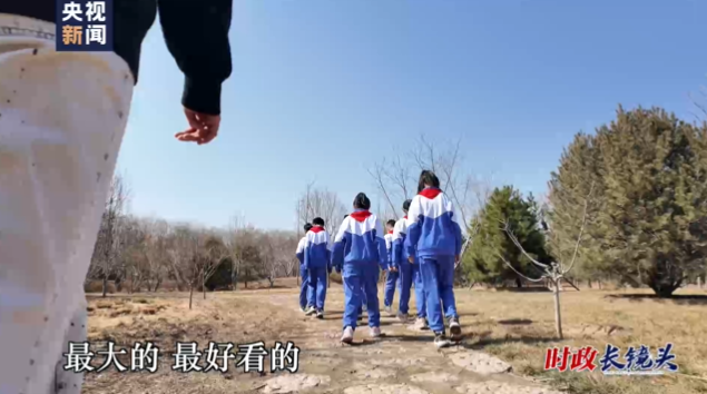 時(shí)政長(zhǎng)鏡頭｜十年樹木 百年樹人