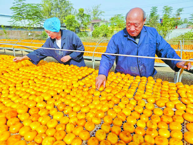 曹州耿餅，留住甜蜜鄉(xiāng)愁