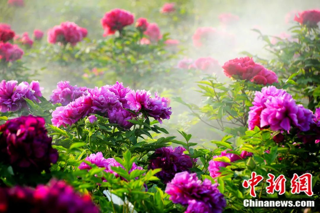 在菏澤，原來可以這樣過年！