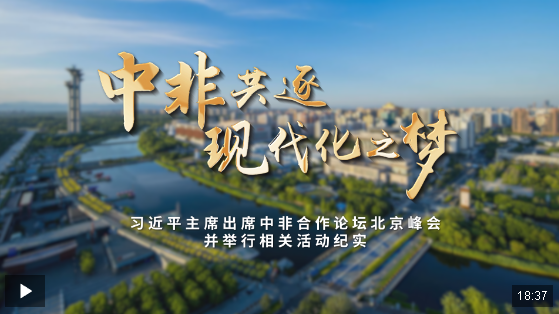 時(shí)政紀(jì)錄片丨中非共逐現(xiàn)代化之夢(mèng)——習(xí)近平主席出席中非合作論壇