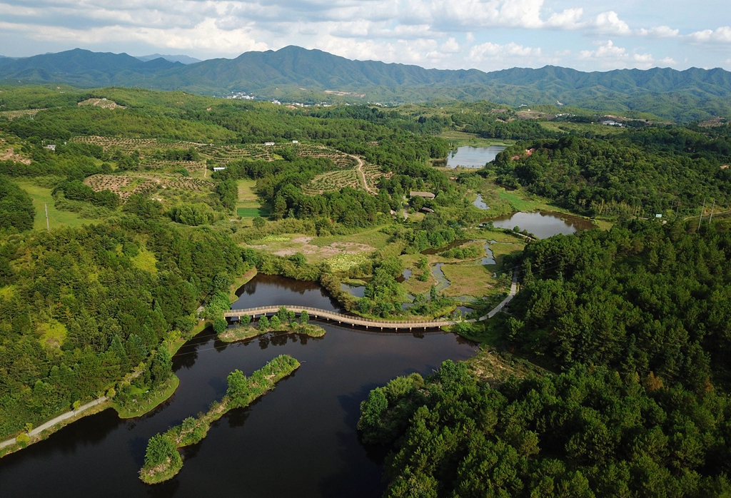 福建省龍巖市長汀縣的長汀汀江國家濕地公園景色（2020年7月28日攝，無人機(jī)照片）。新華社記者 魏培全 攝
