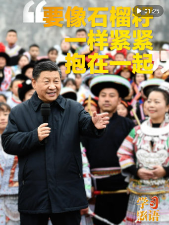 學(xué)習(xí)新語｜“要像石榴籽一樣緊緊抱在一起”