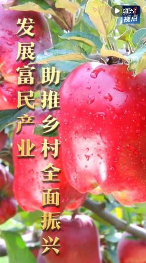 第1視點｜發(fā)展富民產(chǎn)業(yè) 助推鄉(xiāng)村全面振興