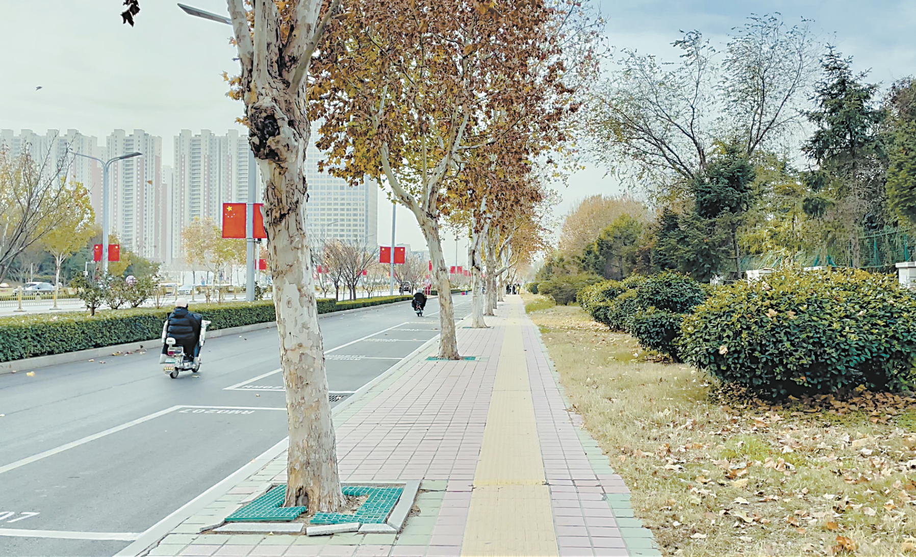 市人民路曹州牡丹園路段提升改造
