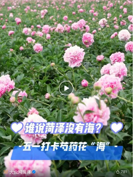 五一假期，菏澤再迎賞花游高峰！還有數(shù)千萬支鮮切花正銷往全國…