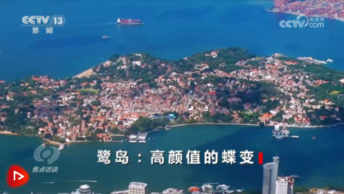 焦點(diǎn)訪談：鷺島 高顏值的蝶變