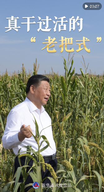 微紀(jì)錄片｜真干過活的“老把式”