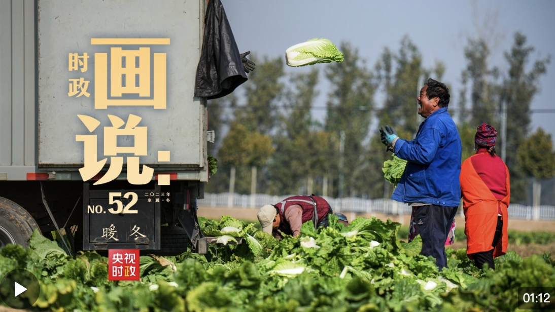 時政畫說丨暖冬