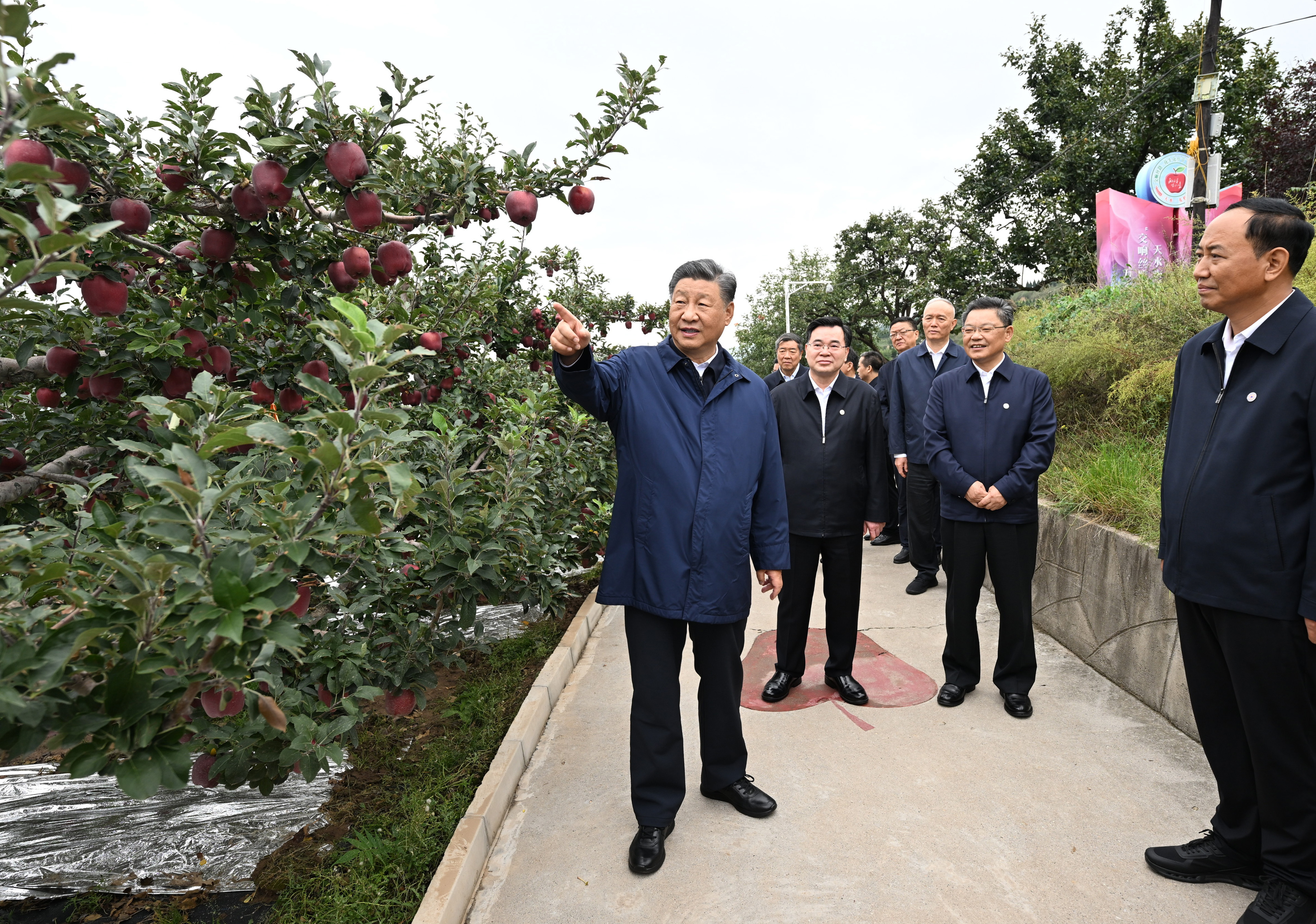 一見·從蘋果故事，感悟治理之道