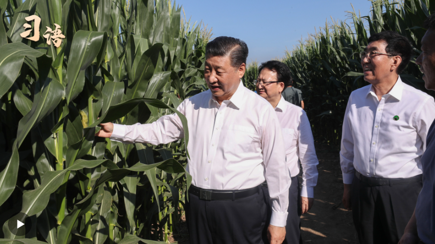 習(xí)語(yǔ)｜“農(nóng)，天下之大業(yè)也”