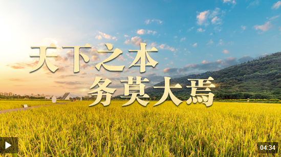 時(shí)政長(zhǎng)鏡頭丨天下之本 務(wù)莫大焉
