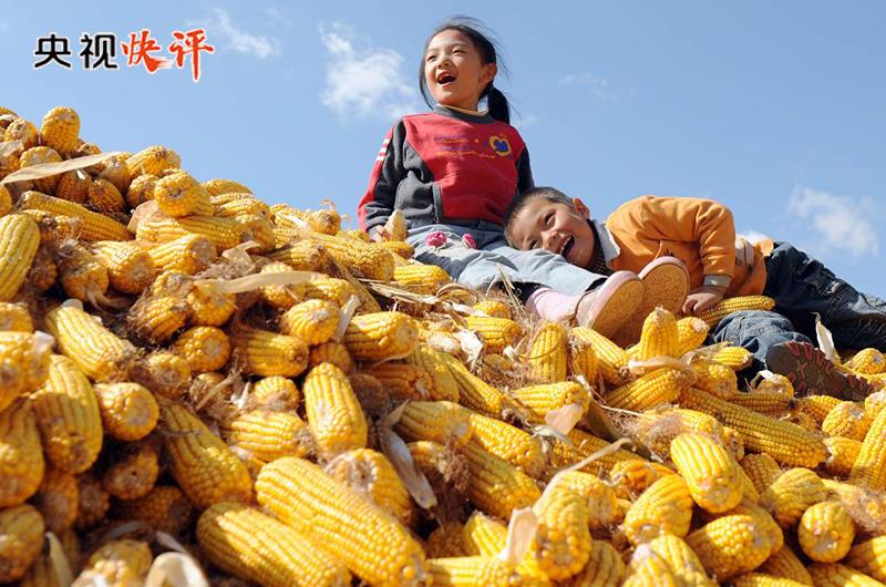 央視快評(píng)丨把鄉(xiāng)村全面振興的美好藍(lán)圖變?yōu)楝F(xiàn)實(shí)