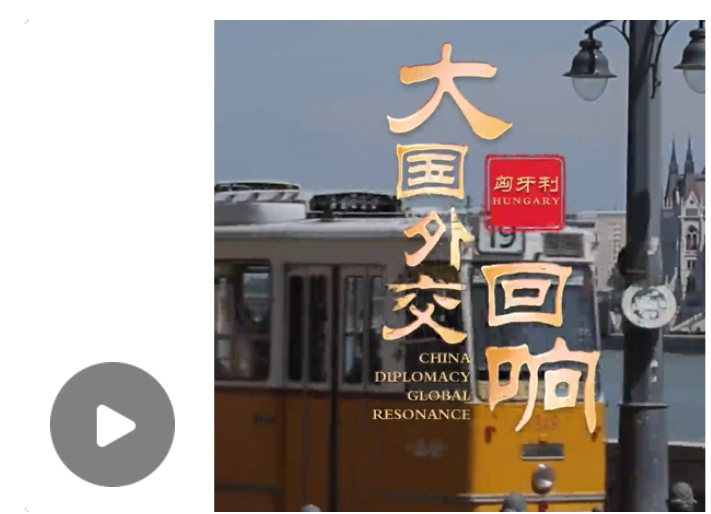 大國外交·回響丨近距離感受大國領(lǐng)袖風(fēng)范
