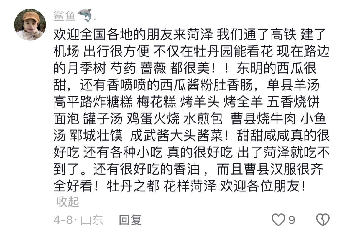 憑何脫穎而出？菏澤成為今年“花期”最大黑馬城市