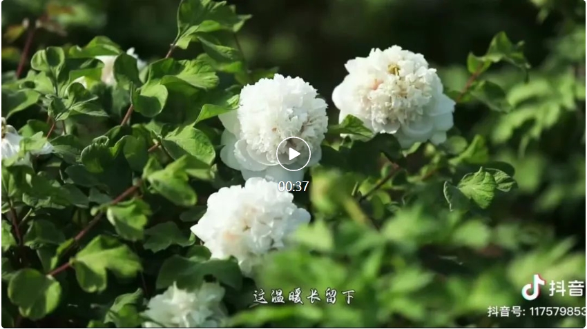 微信截圖_20240325172512.png