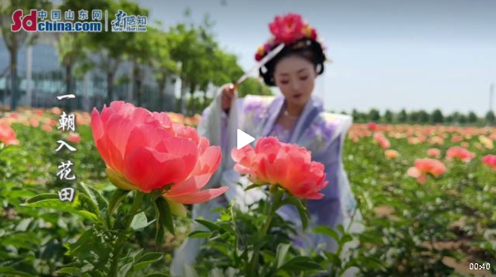 春深百卉過芬芳，雕檻惟余芍藥香