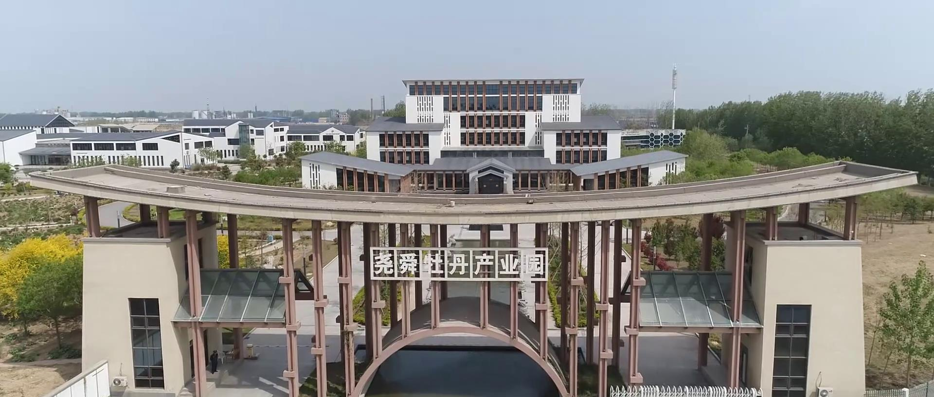 “鏈”出新動(dòng)能 | 牡丹跨界產(chǎn)業(yè) “花樣經(jīng)濟(jì)”闖出“新賽道”
