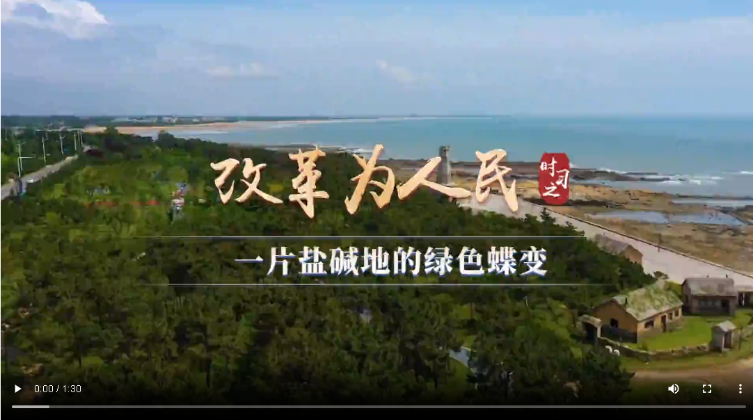 時習(xí)之｜一片鹽堿地的綠色蝶變