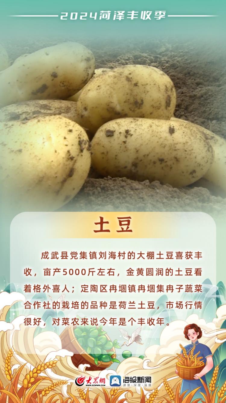 海報(bào)丨看菏澤夏日“豐收?qǐng)D鑒”！
