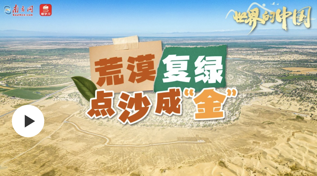 世界的中國｜荒漠復綠，點沙成“金”