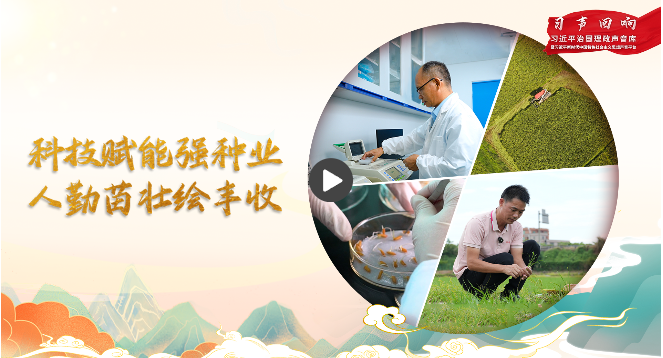 【習(xí)聲回響】科技賦能強種業(yè) 人勤苗壯繪豐收