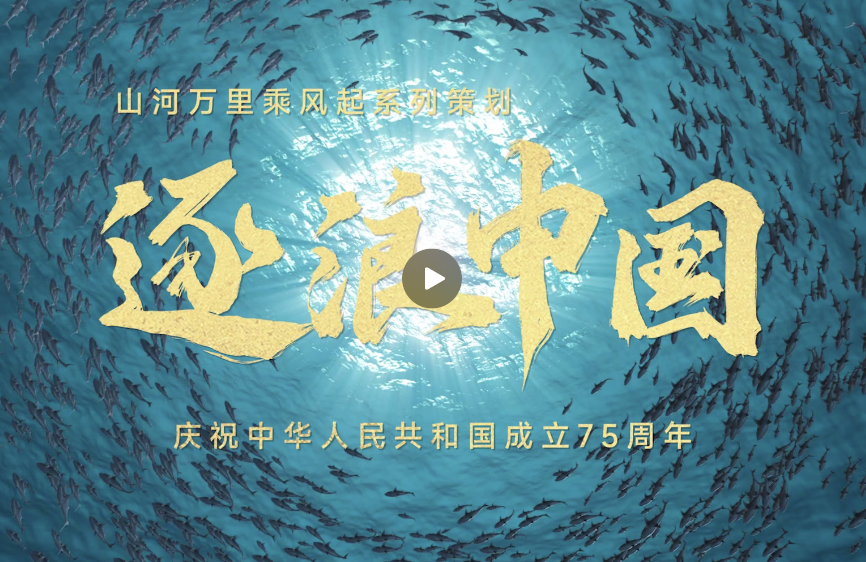 逐浪中國