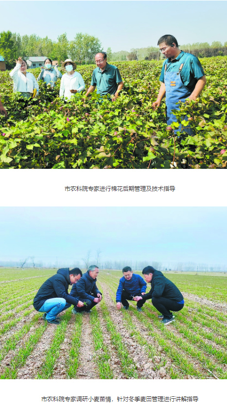 篤行創(chuàng)新灑汗水 育人強(qiáng)農(nóng)天地闊