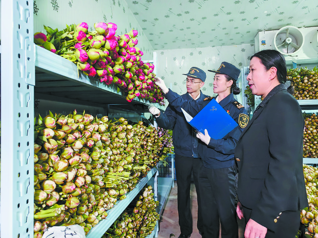 我市今年首批芍藥鮮切花出口海外