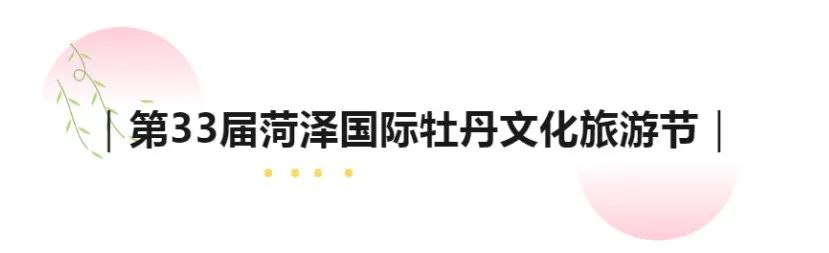 春來菏澤賞牡丹｜給你最全的“賞花攻略”！