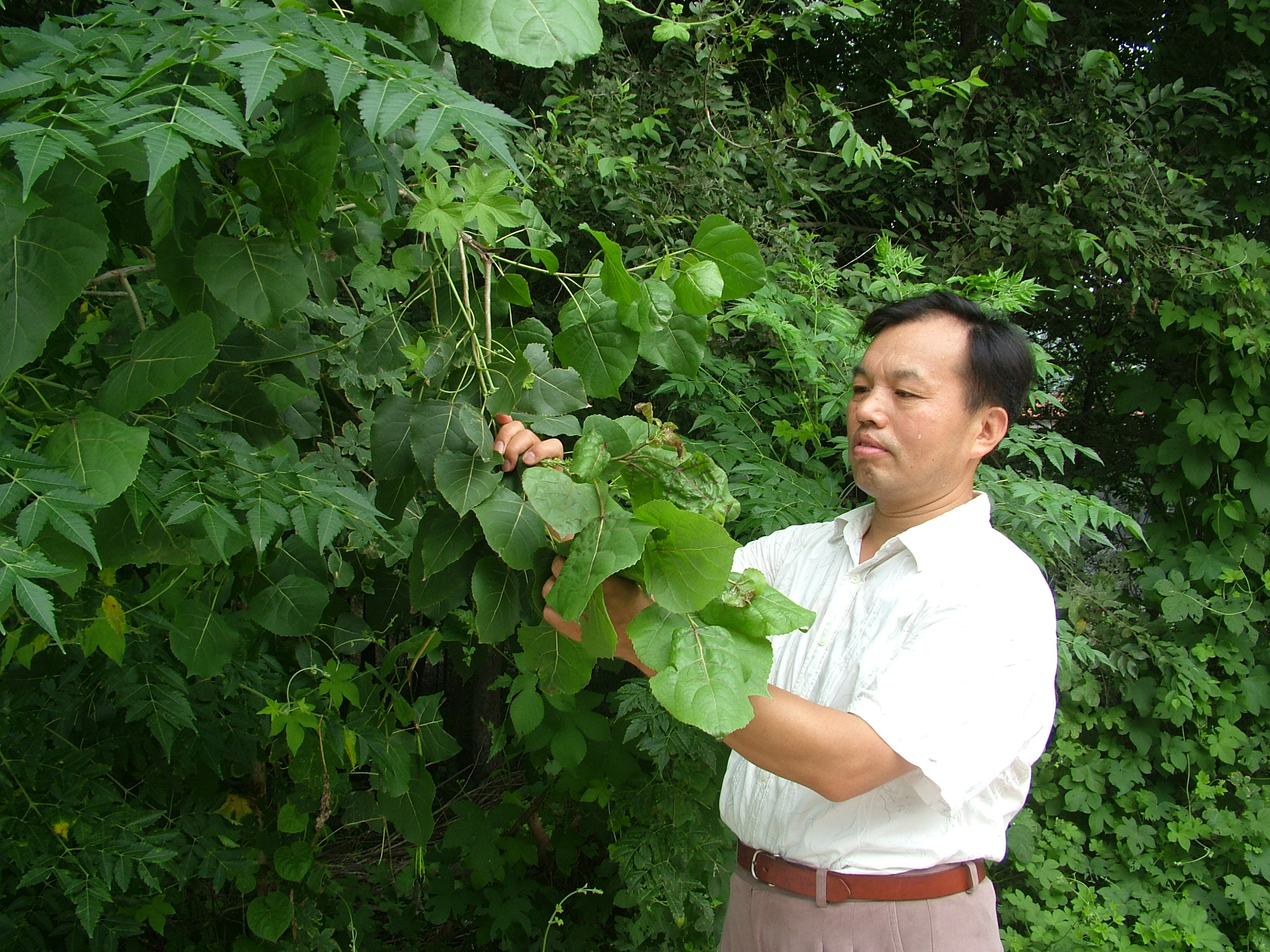 踐行生態(tài)文明 甘當(dāng)綠色衛(wèi)士
