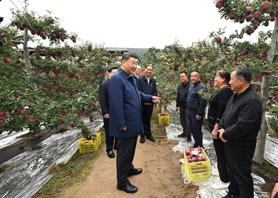 學習進行時丨“讓農(nóng)民腰包越來越鼓、生活越來越美好”——習近平