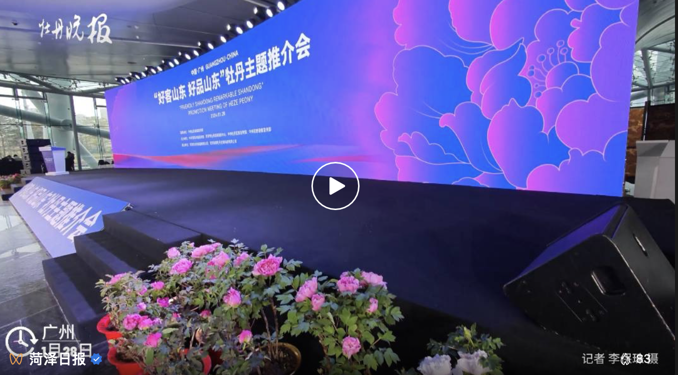 菏澤牽手廣州，牡丹點亮“廣州塔”！