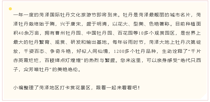 哪里牡丹最好看？老菏澤人帶你玩轉(zhuǎn)各大牡丹園！