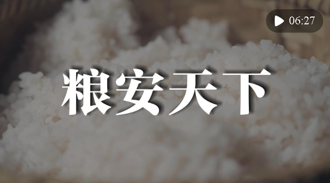 微視頻 | 糧安天下
