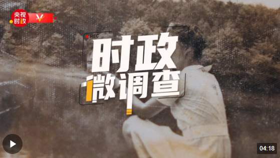 時政微調查丨在水一方