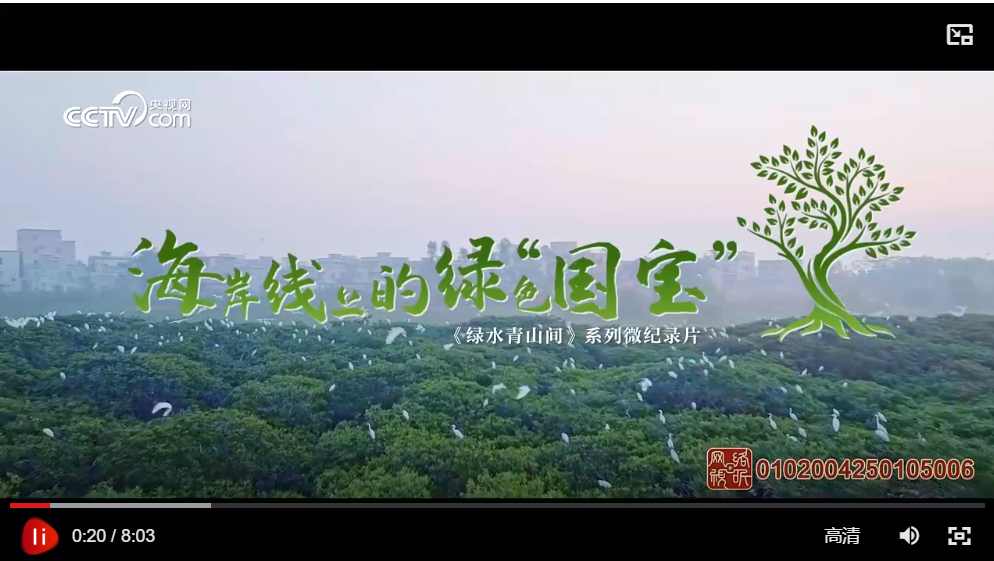 綠水青山間丨海岸線上的綠色“國寶”