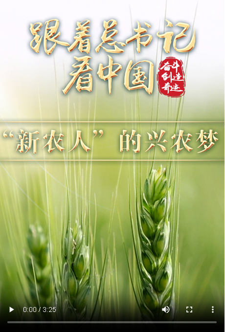 跟著總書記看中國｜“新農(nóng)人”的興農(nóng)夢