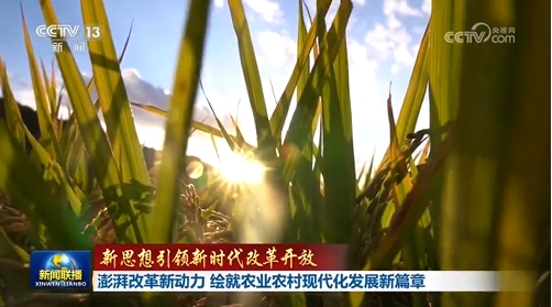 【新思想引領新時代改革開放】澎湃改革新動力 繪就農(nóng)業(yè)農(nóng)村現(xiàn)代化發(fā)展新篇章